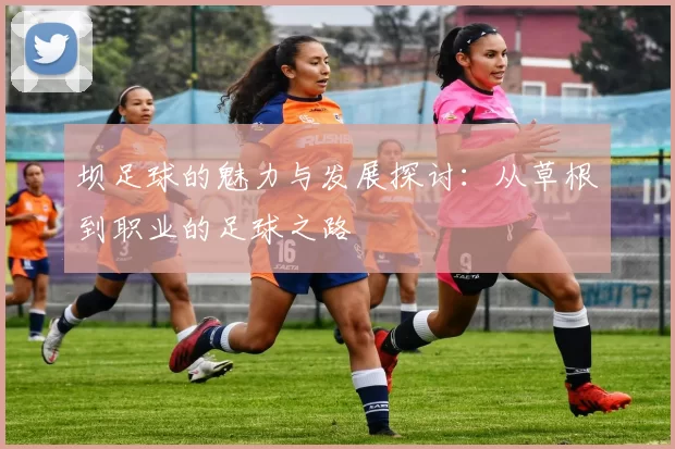 坝足球的魅力与发展探讨：从草根到职业的足球之路